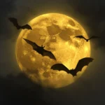 bats and moonlight halloween spooky wallpapers
