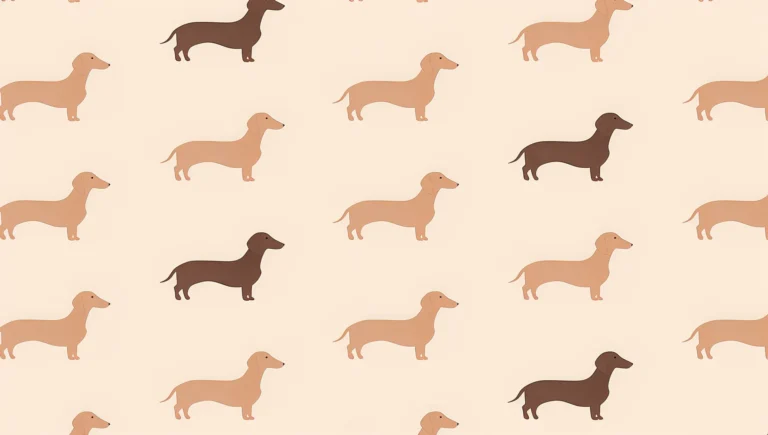 free minimalist wallpapers cute dachshunds ipad