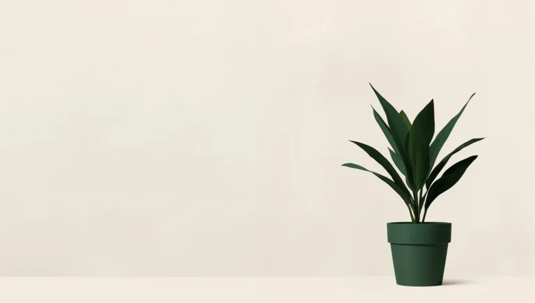 free minimalist wallpapers single potted plant ipad