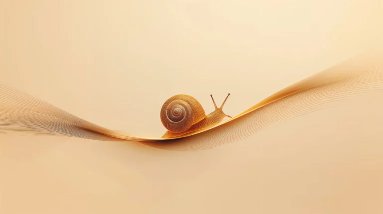 Minimal-line-art-wallpapers-snail-art-laptop