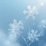 Lucid_Origin_Single_delicate_snowflakes_illuminated_with_soft__0 (1)