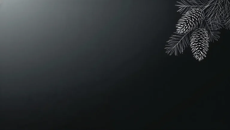 black-minimal-wallpapers-minimal-pinecone-corners-ipad