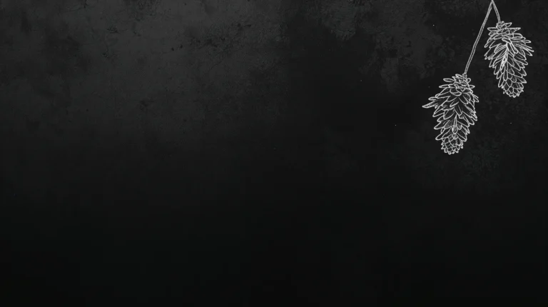 black-minimal-wallpapers-minimal-pinecone-corners-laptop