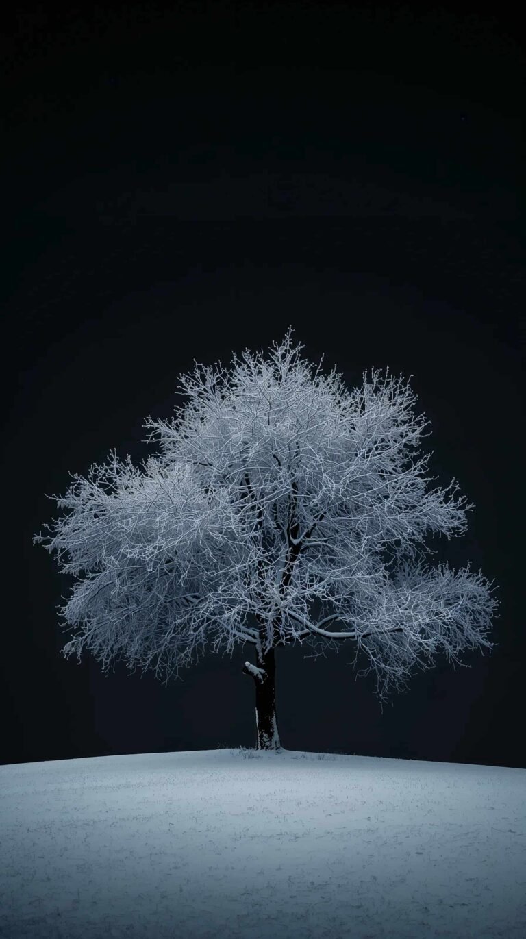 black-winter-wallpapers-snowy-forest-minimal-landscape-phone