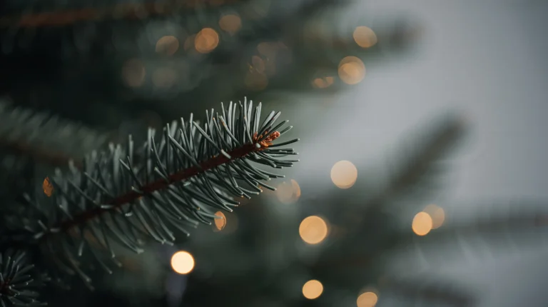 minimal-christmas-wallpapers-green-tree-minimal-design-laptop