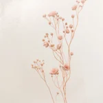 minimal-pastel-wallpapers-dusty-rose-sand-gradient-cover