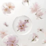 cute-flower-wallpapers-glass-bubble-blossoms-cover