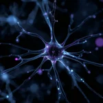 black-futuristic-wallpapers-digital-neural-synapses-cover