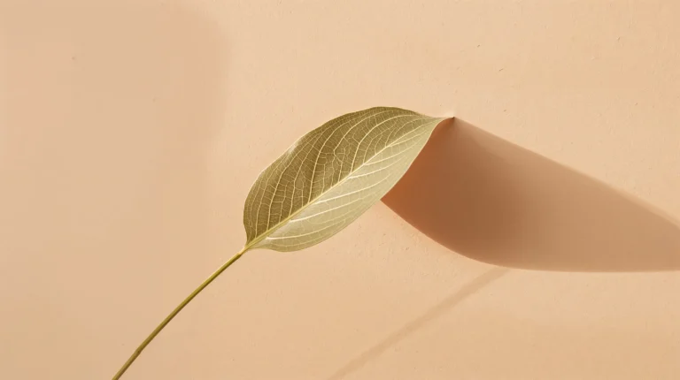clean-and-calm-minimal-wallpapers-for-desktop-soft-botanical-shadow