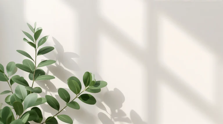 minimal-desktop-wallpaper-eucalyptus-leaves-off-white-wall