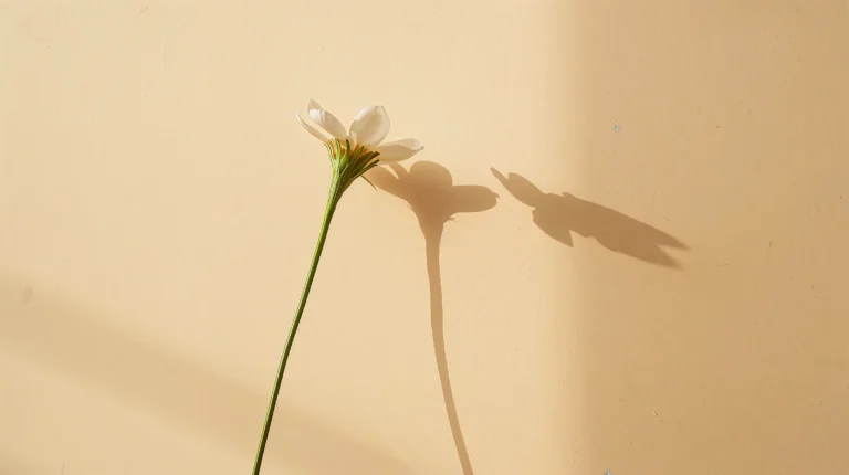 minimal-desktop-wallpaper-single-flower-soft-shadow-wall