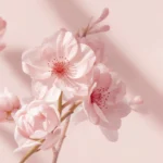 minimal-desktop-wallpaper-soft-pink-spring-flowers-negative-space-cover