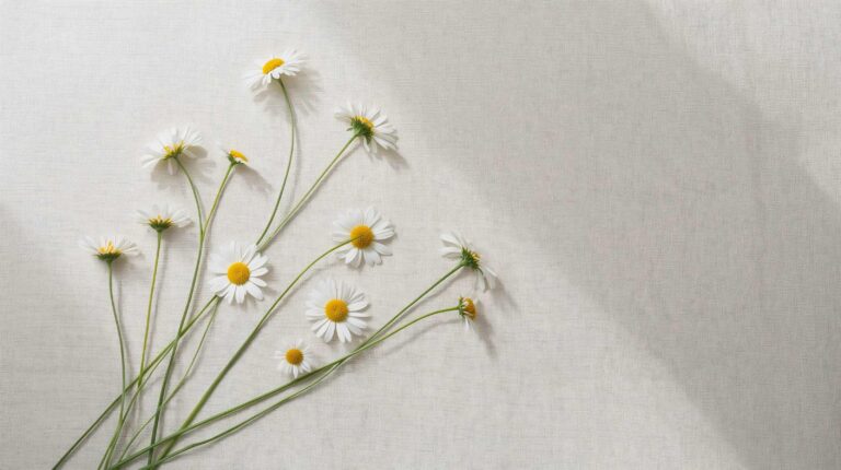 minimal-desktop-wallpaper-white-daisies-linen-background