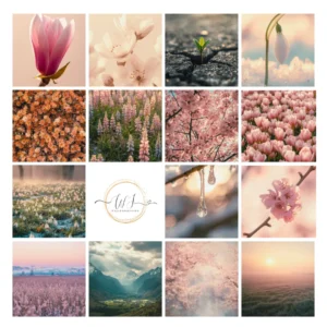 Free-aesthetic-wallpapers-Collage-seasonal-category-wallpaperinspo.com