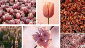 first bloom spring wallpapers collage