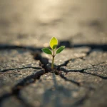 new-beginning-aesthetic-wallpapers-for-phone-and-desktop-green-sprout-cover