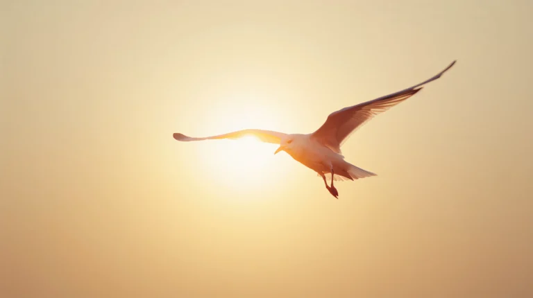 new-beginning-aesthetic-wallpapers-for-phone-and-desktop-white-bird-laptop