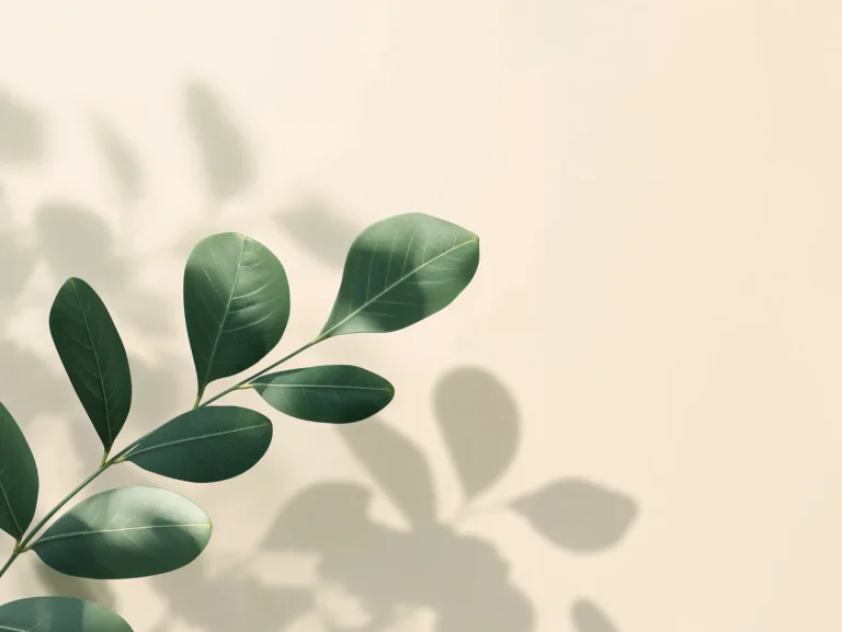 aesthetic-tablet-wallpaper-eucalyptus-leaves-minimal