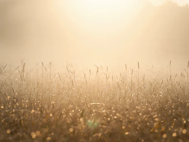 aesthetic-tablet-wallpaper-foggy-meadow-light
