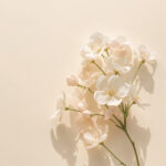 aesthetic-tablet-wallpaper-white-flowers-minimal-cover