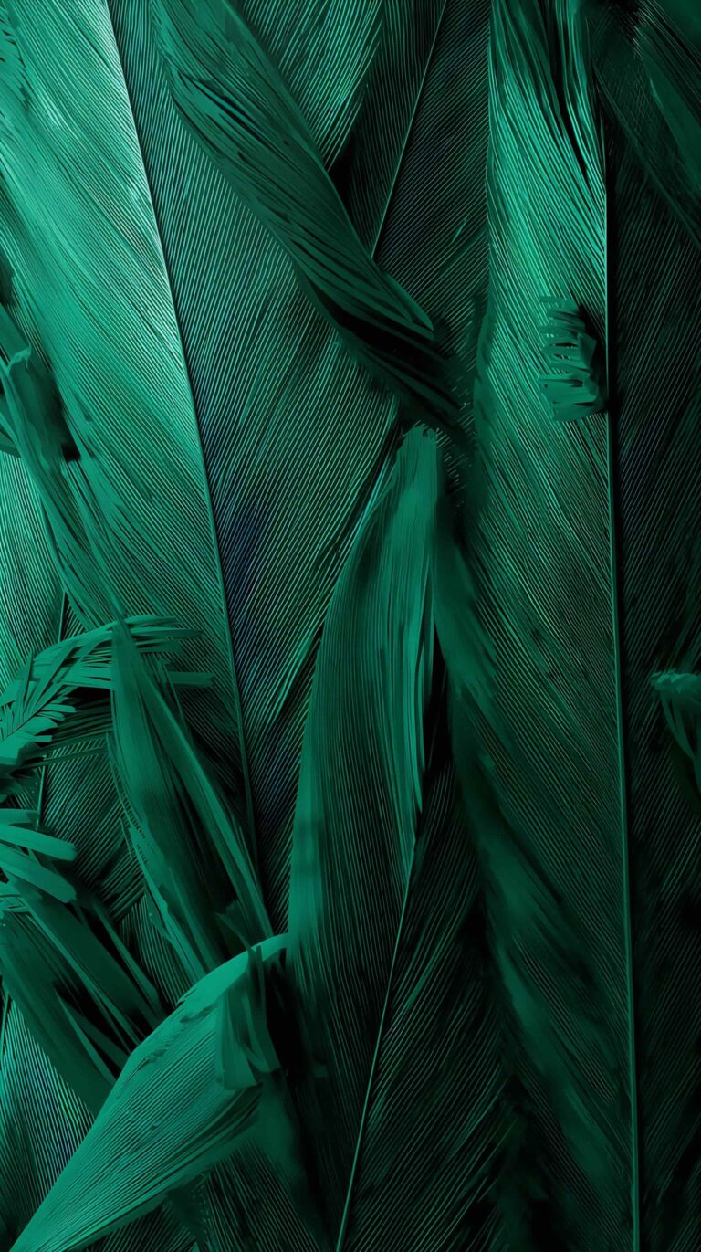 feather-texture-wallpapers-duck-feather-green-4k-phone