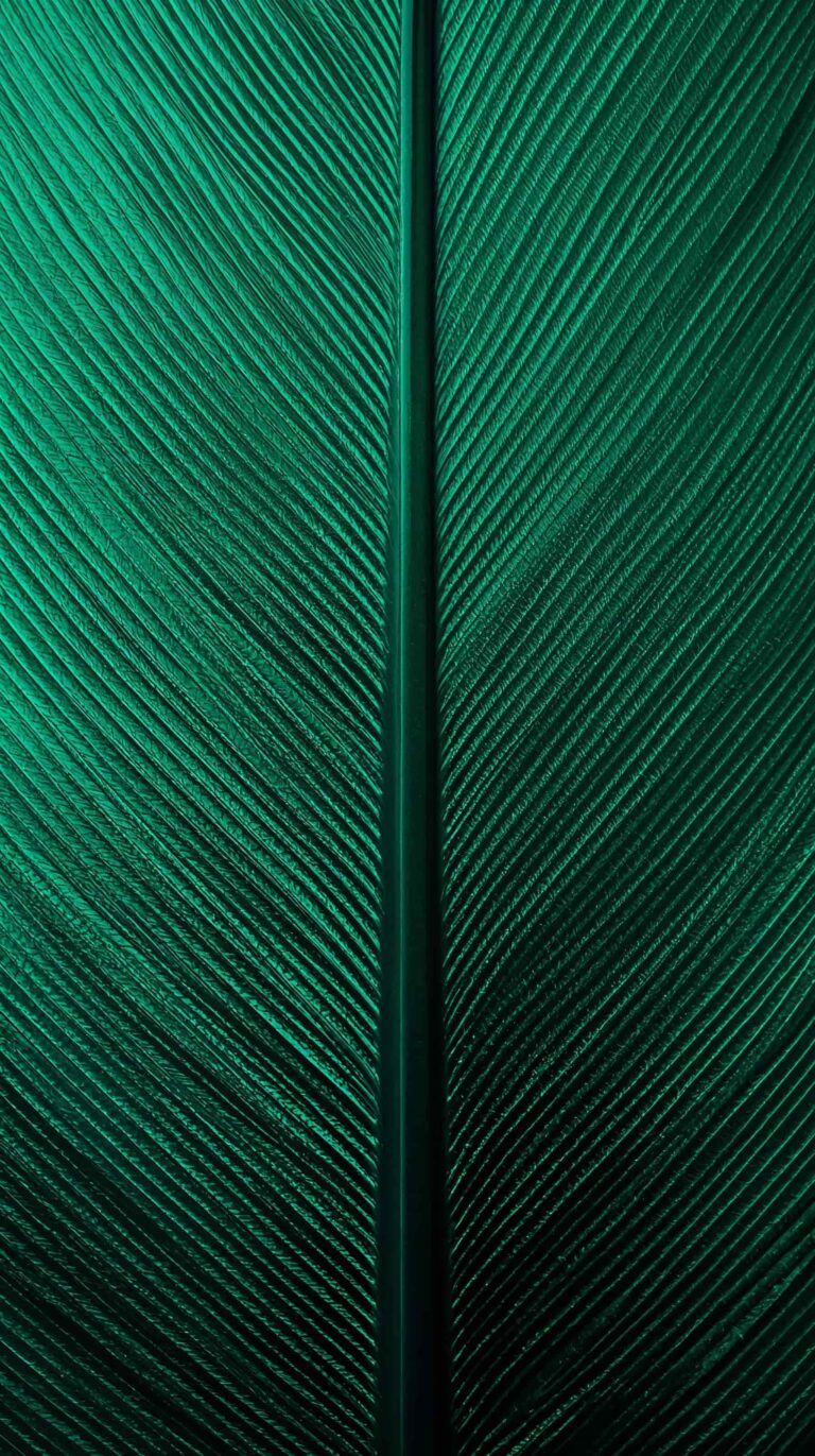 feather-texture-wallpapers-duck-feather-iridescent-green-4k-phone