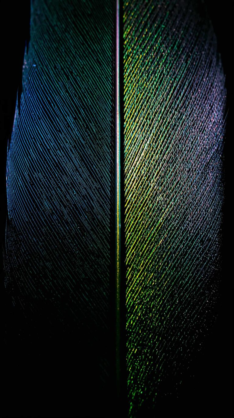 feather-texture-wallpapers-duck-feather-iridescent-green-blue-4k-phone
