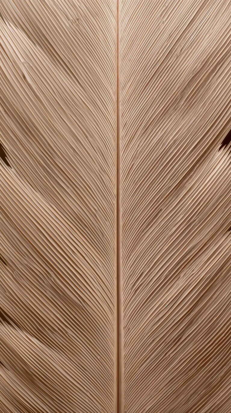 feather-texture-wallpapers-soft-owl-feather-texture-neutral-4k-phone
