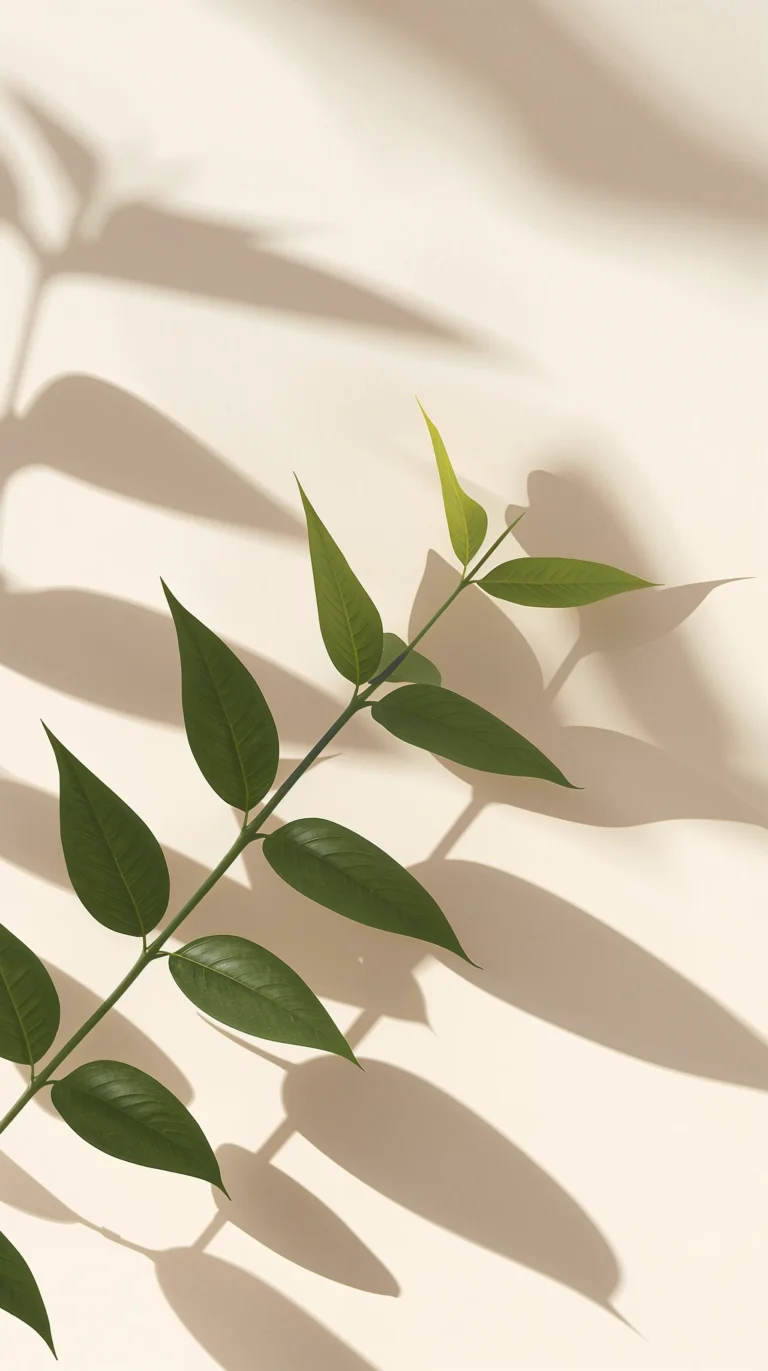 fresh-green-leaves-phone-wallpapers-minimal-botanical-shadow