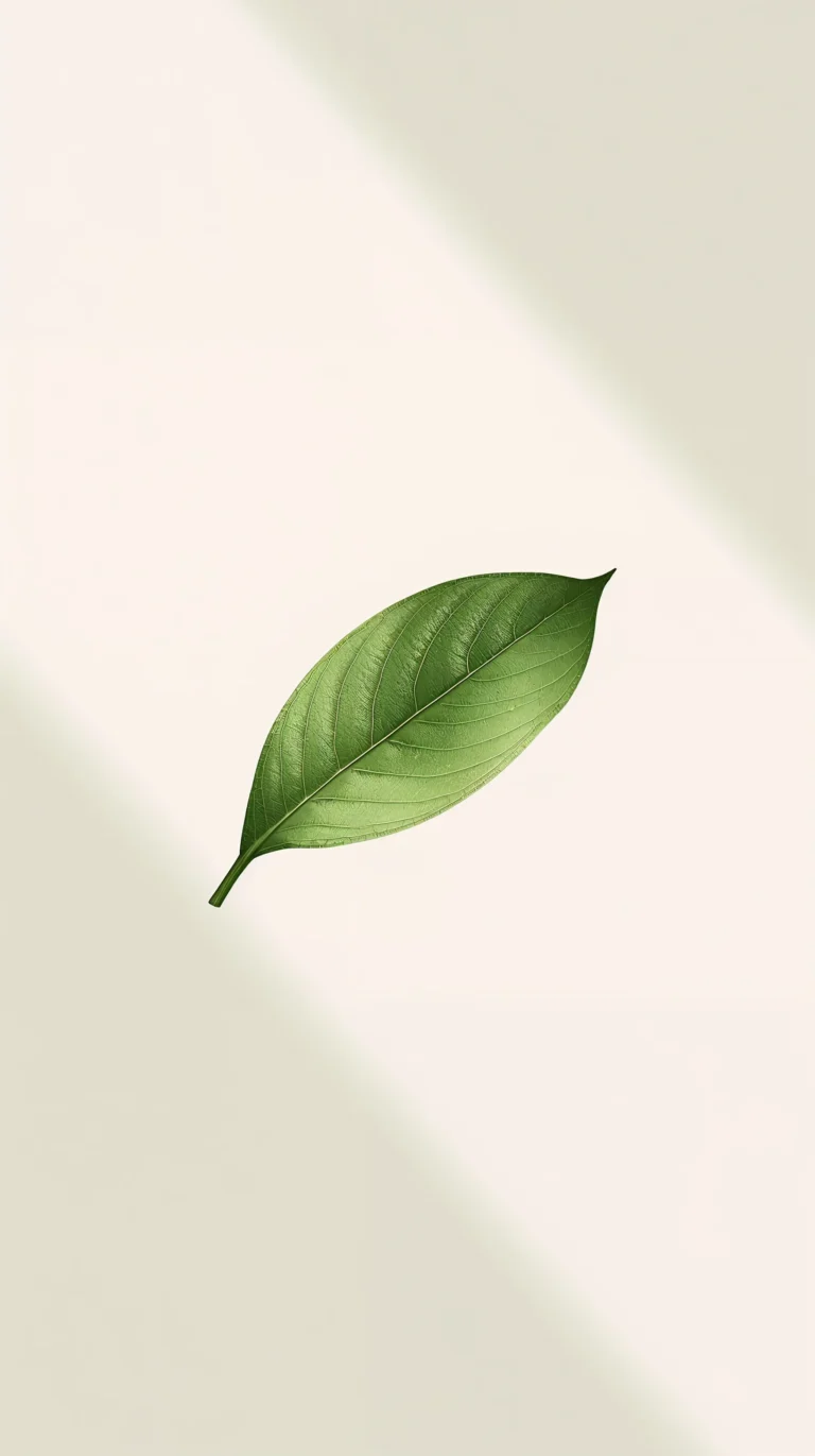 fresh-green-leaves-phone-wallpapers-single-minimal-leaf-soft-light