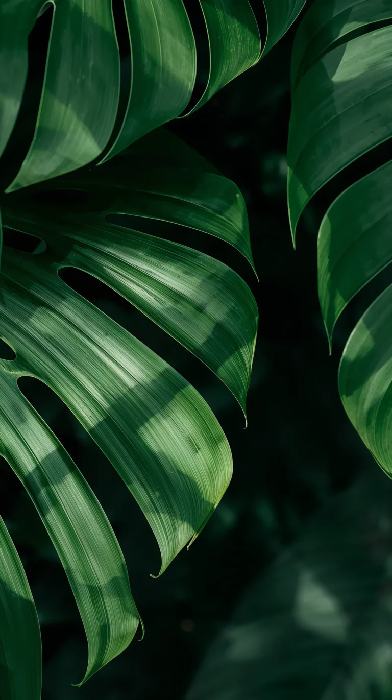 fresh-green-leaves-phone-wallpapers-tropical-leaf-texture-macro