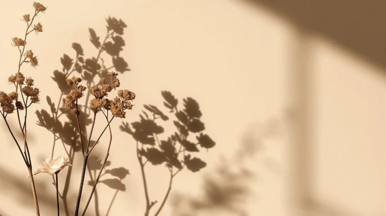 minimal-botanical-laptop-wallpapers-dried-botanical-shadow