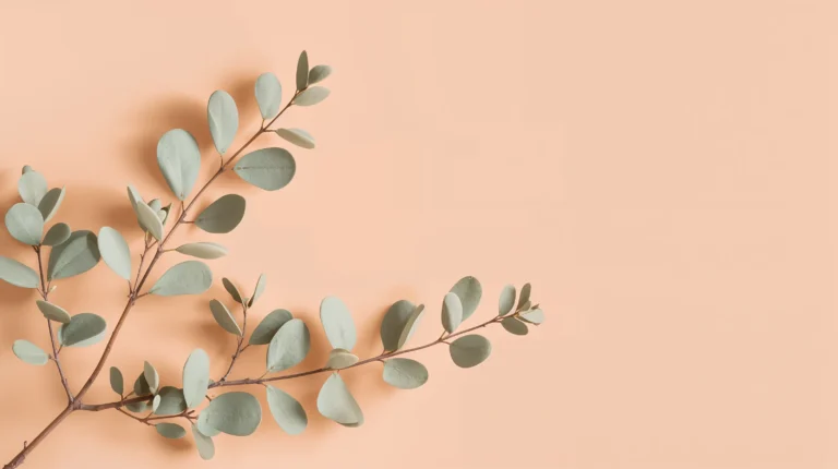minimal-botanical-laptop-wallpapers-eucalyptus-branch-beige
