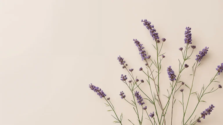 minimal-botanical-laptop-wallpapers-lavender-stems-minimal