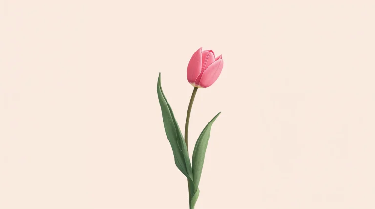 minimal-botanical-laptop-wallpapers-pink-tulip-minimal