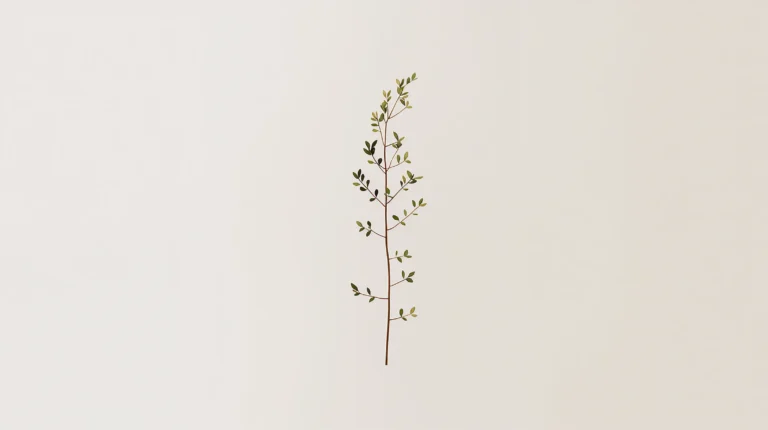 minimal-botanical-laptop-wallpapers-single-botanical-stem
