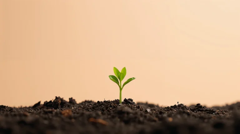 minimal-botanical-laptop-wallpapers-spring-green-sprout