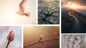 new begining wallpapers collage