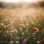 spring-awakening-aesthetic-laptop-wallpapers-pastel-meadow-sunlight-4k-cover