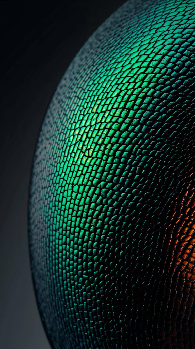unique-macro-texture-wallpapers-beetle-dark-green-4k