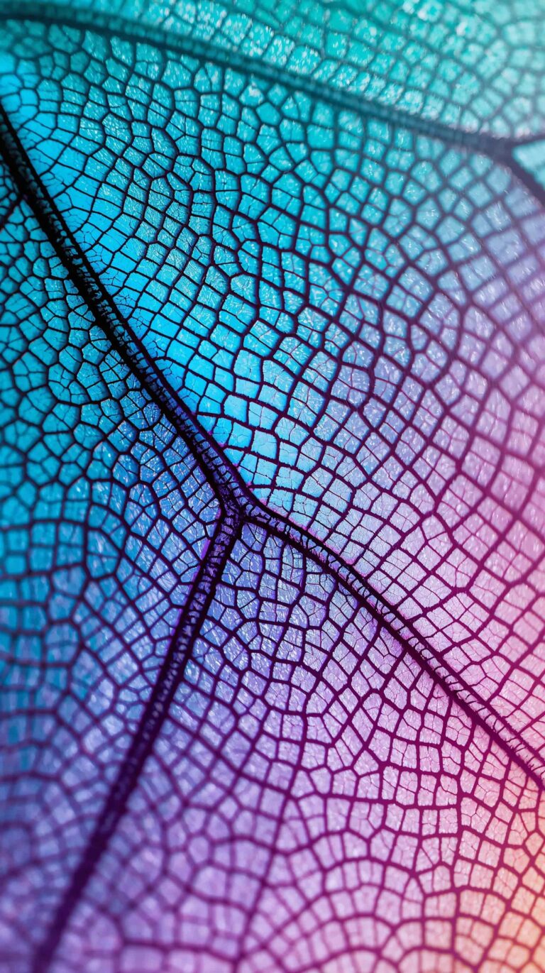 unique-macro-texture-wallpapers-butterfly-wing-colorful-gradient-close-view-4k