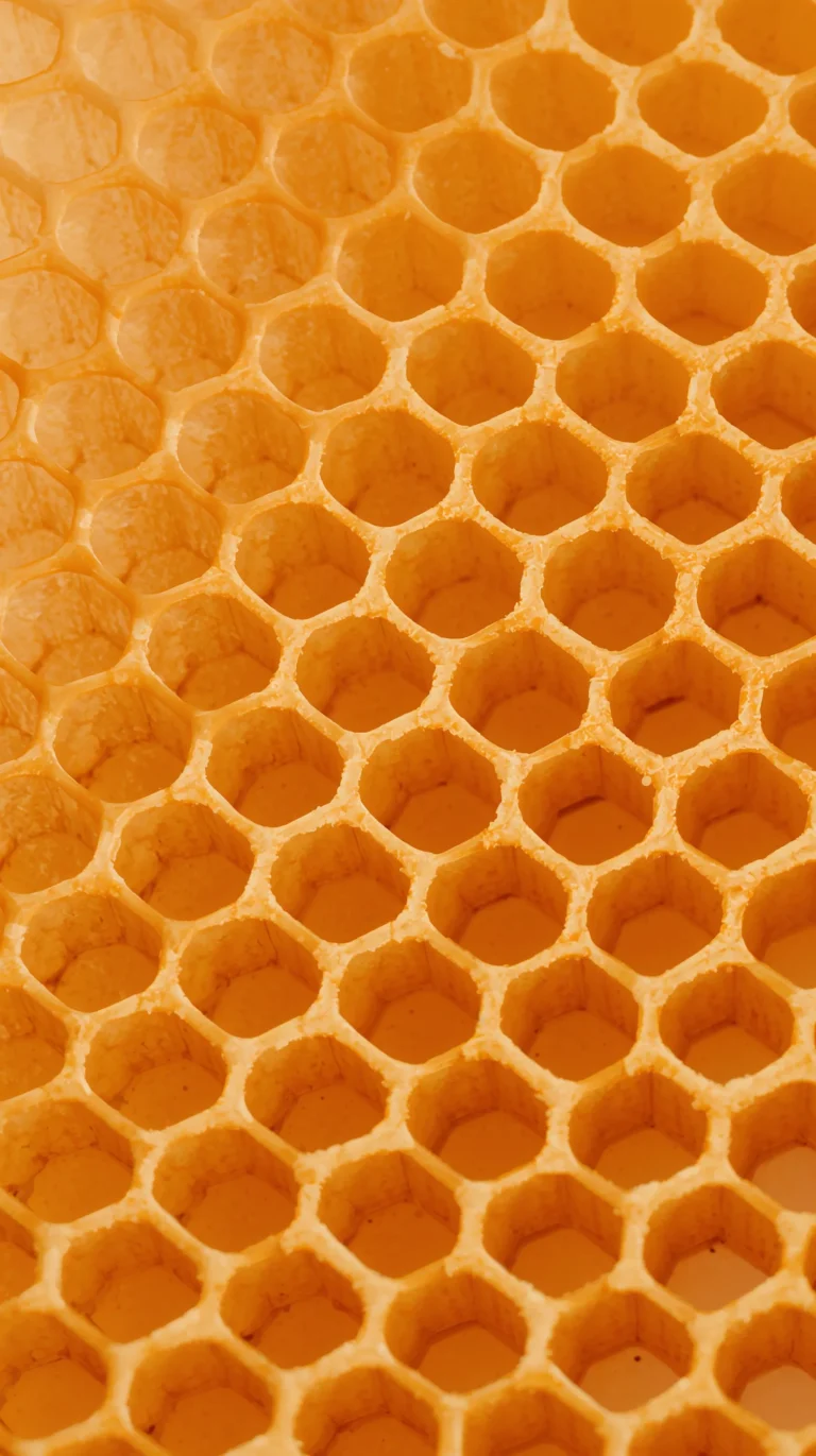 unique-macro-texture-wallpapers-honeycomb-macro-clean-4k