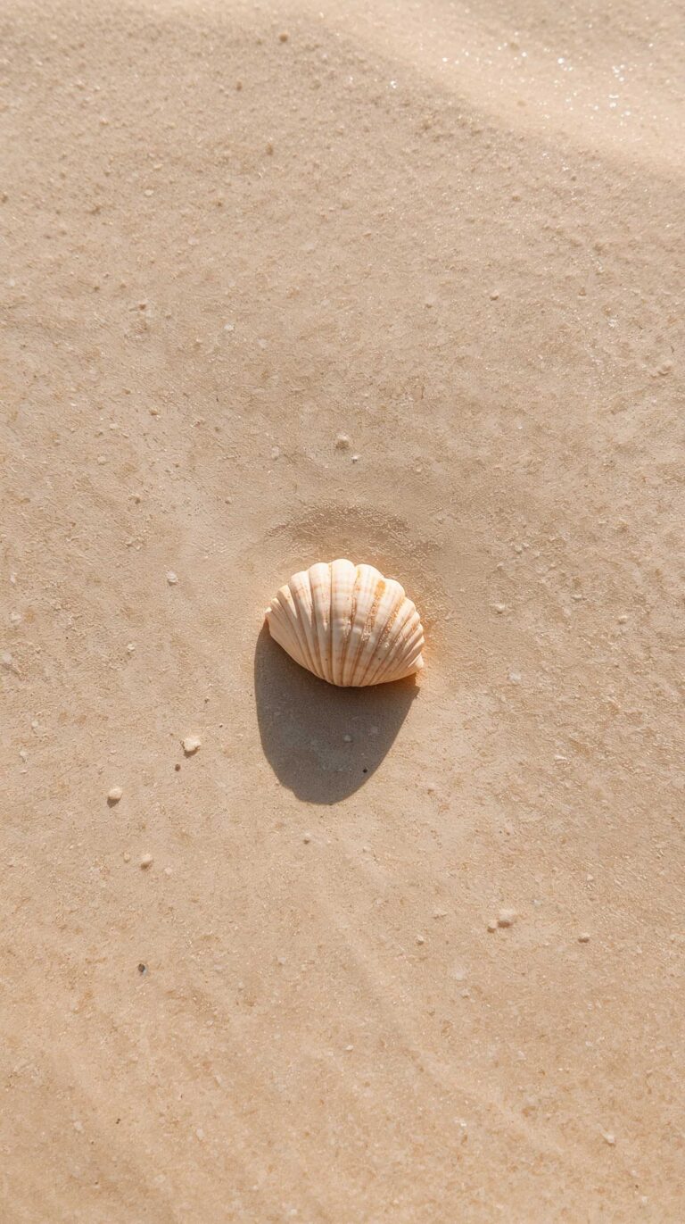 beige-summer-wallpapers-minimal-seashell-phone