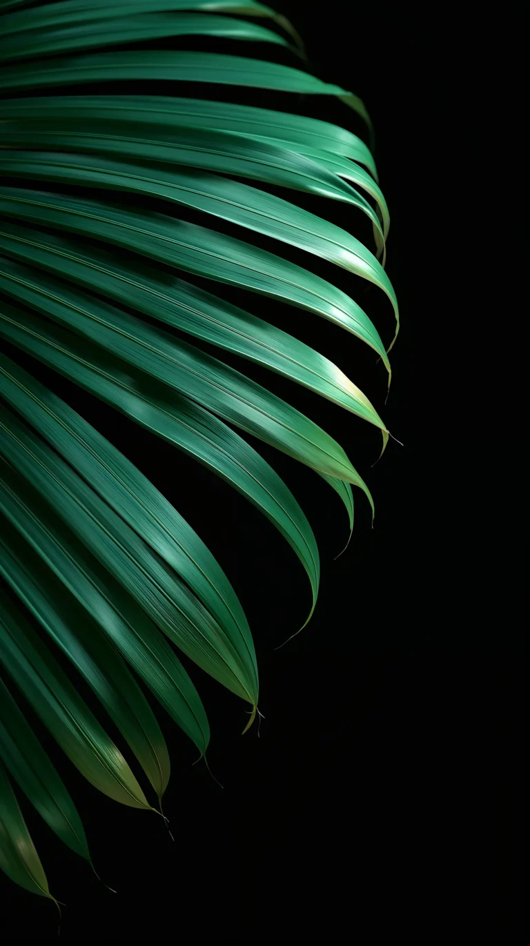 black-summer-wallpapers-aesthetic-palm-leaf-phone