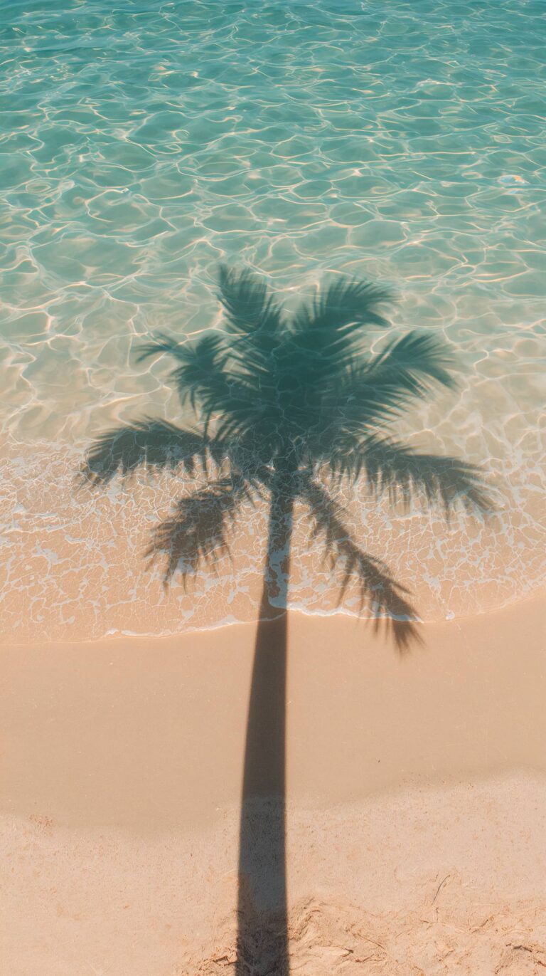 ocean-summer-wallpapers-aesthetic-phone-palm-shadow-water