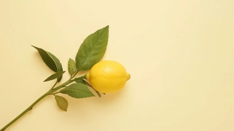 simple-summer-backgrounds-aesthetic-laptop-minimal-lemon-branch