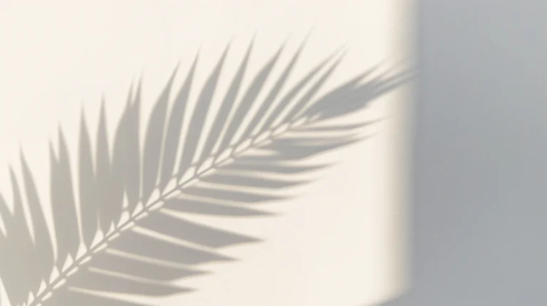 simple-summer-backgrounds-aesthetic-laptop-palm-shadow-wall