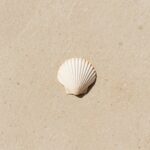 simple-summer-backgrounds-aesthetic-laptop-seashell-sand-cover