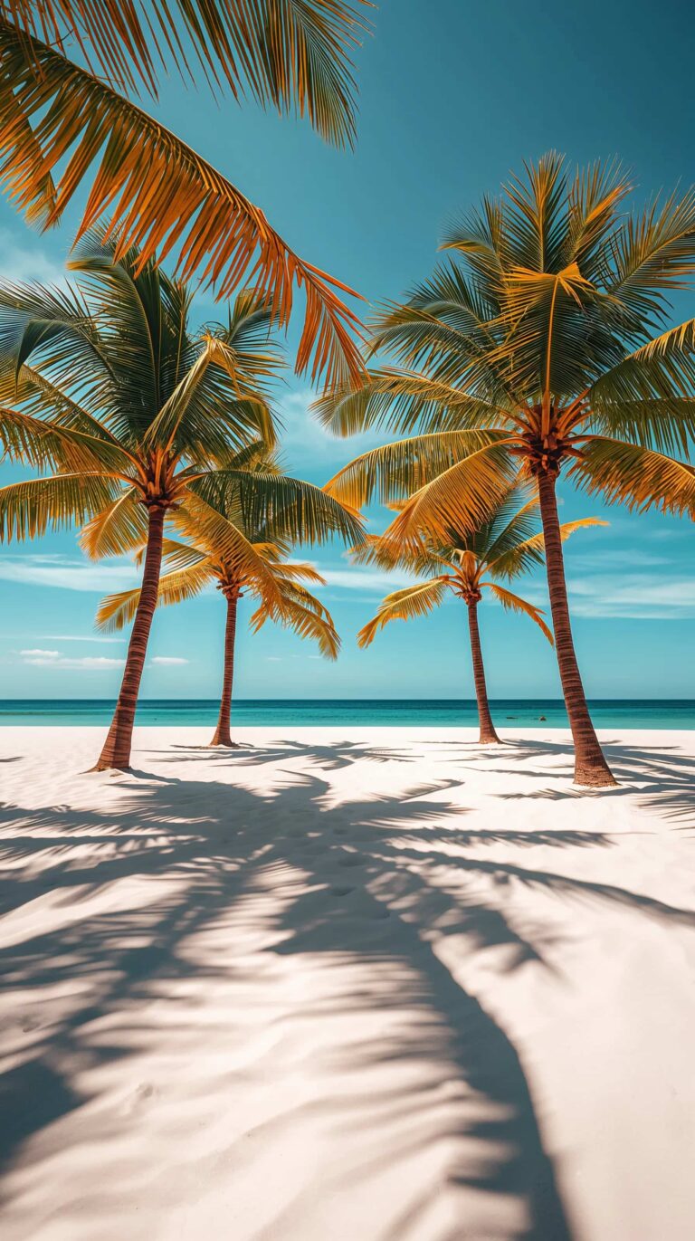 tropical-summer-wallpapers-4k-palm-shadow-white-sand-phone
