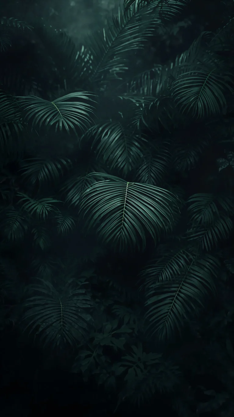 black-tropical-wallpapers-aesthetic-dark-rainforest-fog